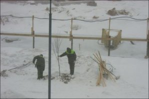 Им некогда, они деревья сажают.