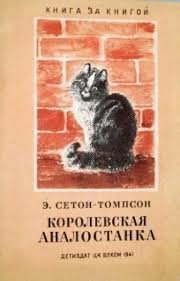 Доставщик еды для кошек