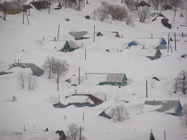 Медведь, вылезай! Цепной пёс выбирается из своей будки после сильного снегопада 