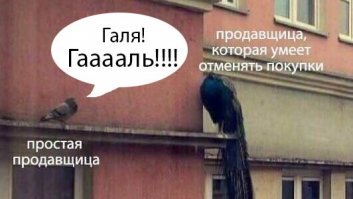 Прикольные и смешные картинки