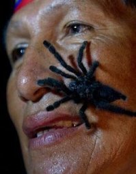 Чёта как-то старовата она для заголовка!