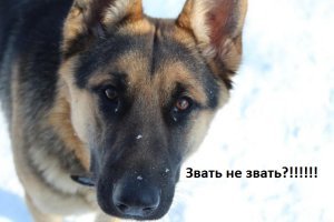 Жесткое ДТП