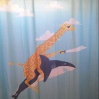 Прикольные и смешные картинки