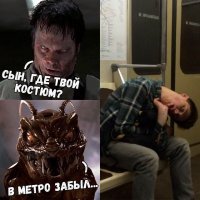 Пестрый мир жуков