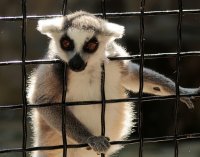 Тебя позову....,наверное,потом.