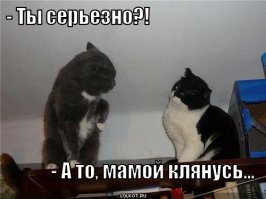 Эффективная противоугонка от супруги, или что такое женская логика
