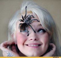 Девушки и пауки