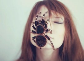 Девушки и пауки