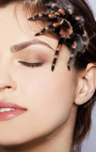 Девушки и пауки