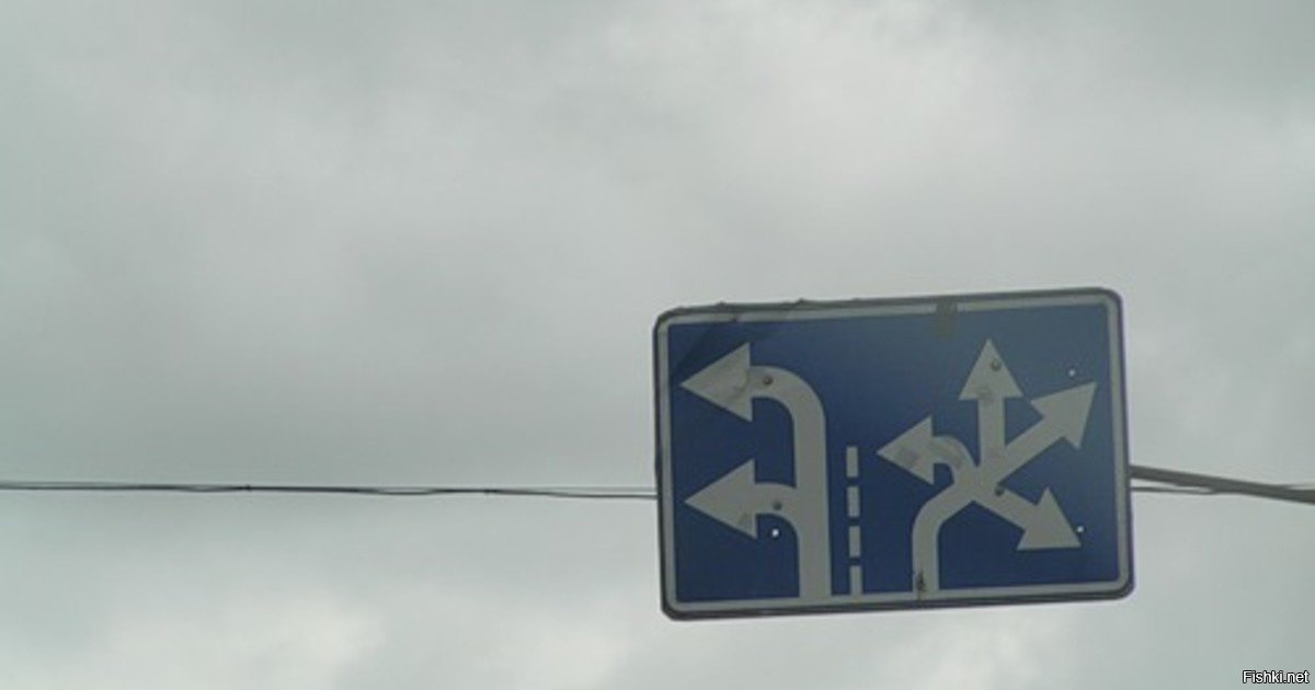 Знак на дорогах москве. Необычные знаки движения. Знак направление движения по полосам. Знак полоса для грузовиков. Дорожные знаки под мостом.