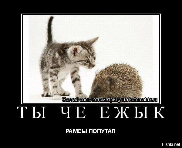 рамсы попутал что это значит простыми словами. рамсы попутал что это значит простыми словами. замять рамсы. рамс это жаргон. гопорез.