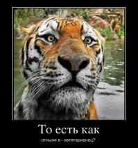 Майор "Р-р-р-р-р-р-р"