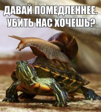 Самая большая сухопутная улитка Европы