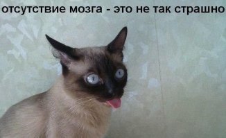 Британка потратила £10 000, чтобы превратить старый вертолет в кинотеатр