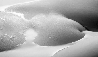 Девушки в бикини