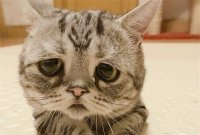 В случае смерти, деньги за билет можно вернуть... хоть какая-то радость.