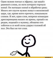 В Таиланде девочке-подростку чудом удалось уцелеть после того, как она стала жертвой рассвирепевшего слона