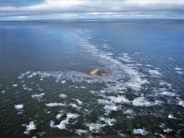 Участок с бассейном под застройку: