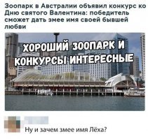 Это не совсем зоопарк - это Wild Life World в Дарлинг Харбор в Сиднее.
