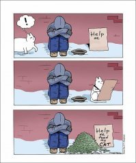 Бонус