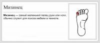 Решение этой проблемы


Покупаются домашние тапки на размер больше.