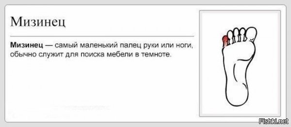 Решение этой проблемы


Покупаются домашние тапки на размер больше.