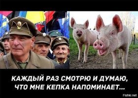 Прикольные и смешные картинки