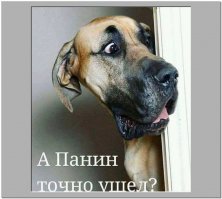 «Прощай, немытая Россия»: Алексей Панин намекнул на эмиграцию в США