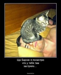 О хайпе от Reebok как приговоре