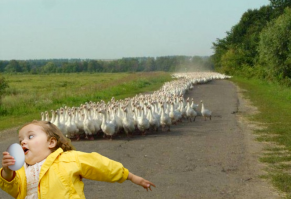 Прикольные и смешные картинки