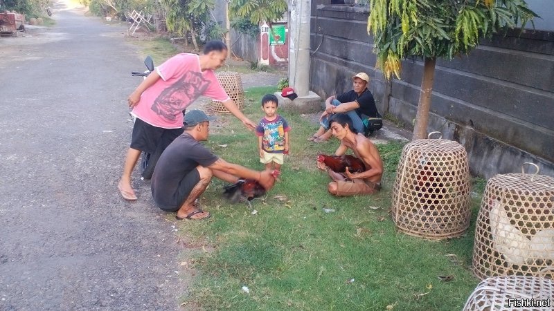 Дополню автора из своего архива.