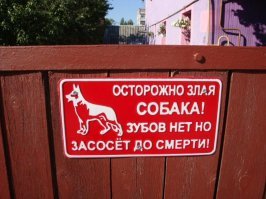 Как сделать так, чтобы вас укусила собака