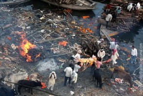 Тяжеловато у них там с экологией. Этот Ганг, будь он не добр...