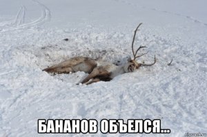 23  бесполезных факта