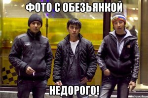 25 хвостатых озорников, которые тоже не прочь позаигрывать с девушками