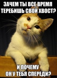 Прикольные и смешные картинки