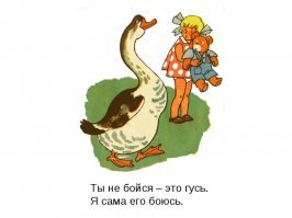 Прикольные и смешные картинки