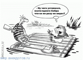 Прикольные комментарии из соцсетей