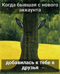 С глаз долой - из сердца вон: 16 наглядных доказательств, что дружбы между бывшими не бывает