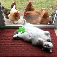 Картинки с надписями