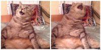 Ты чЁ,меня там чуть не сьели.