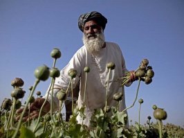 Контрасты Афганистана: конец 1920-х годов и современность