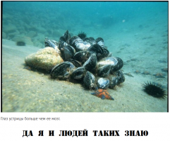 23  бесполезных факта