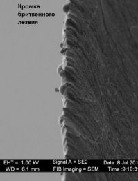 Микромир: невероятные картины повседневности в объективе микроскопа