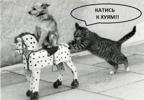 «Прощай, немытая Россия»: Алексей Панин намекнул на эмиграцию в США