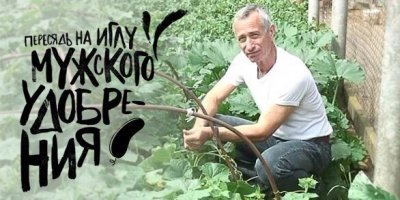 О хайпе от Reebok как приговоре