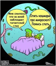 Микромир: невероятные картины повседневности в объективе микроскопа