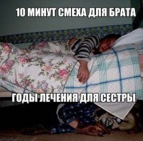 20 фото в поддержку слогана "в большой семье не щёлкай клювом"