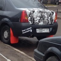 А на крышке багажника пятна танцуют рейв)