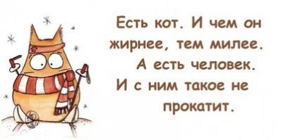 30 причин обменять жену на кошку